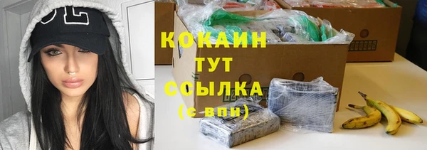 PSILOCYBIN Костерёво