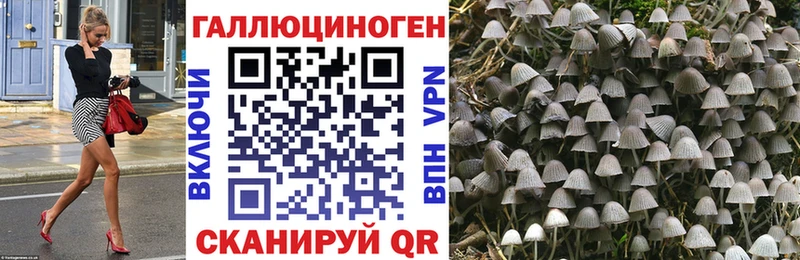 Псилоцибиновые грибы GOLDEN TEACHER  Купить где  Ханты-Мансийск 